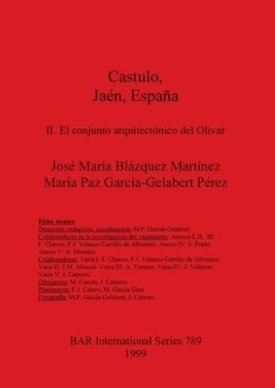 Cover for Ma Paz Garcia-Gelabert Perez · Castulo, Jaen, Espana (Aippi Forum Series) (Hardcover Book) (1999)