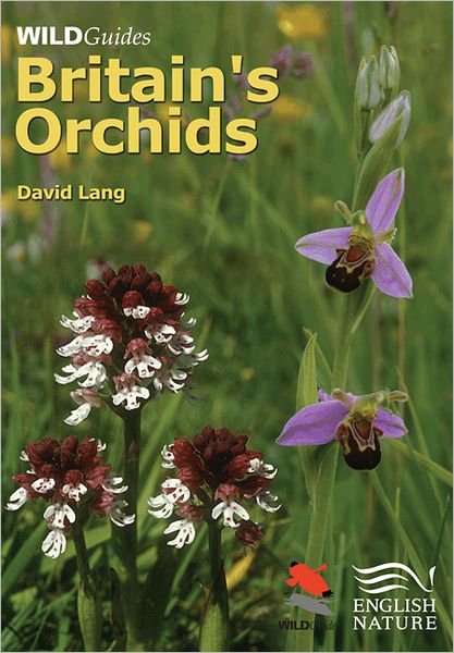 Cover for David Lang · Britain's Orchids (Hardcover Book) (2004)