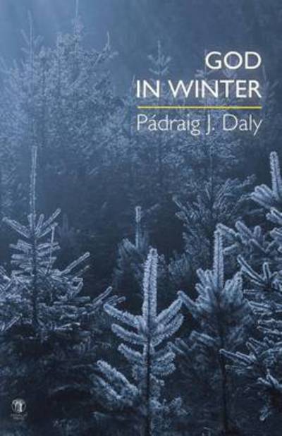 Cover for Padraig J Daly · God in Winter (Paperback Book) (2015)