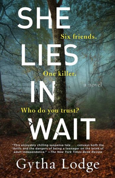 Cover for Gytha Lodge · She Lies in Wait A Novel (Buch) (2019)