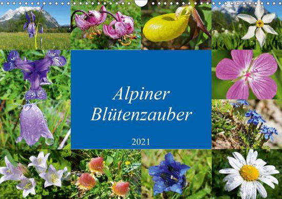 Cover for Bucher · Alpiner Blütenzauber (Wandkalend (Book)