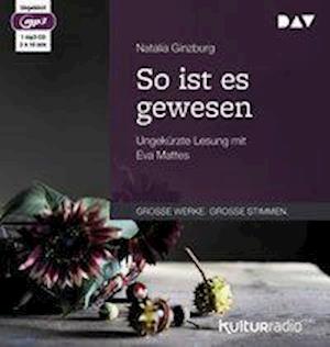 Cover for Natalia Ginzburg · So ist es gewesen (CD)