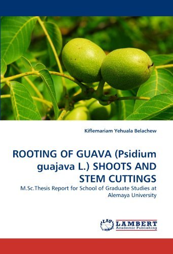 Cover for Kiflemariam Yehuala Belachew · Rooting of Guava (Psidium Guajava L.) Shoots and Stem Cuttings: M.sc.thesis Report for School of Graduate Studies at Alemaya University (Pocketbok) (2010)