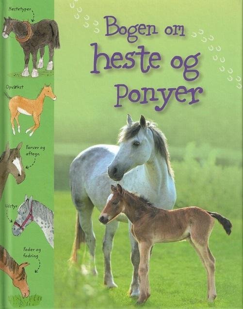 Bogen om heste og ponyer - Sarah Kahn - Livros - Flachs - 9788762725065 - 28 de janeiro de 2015