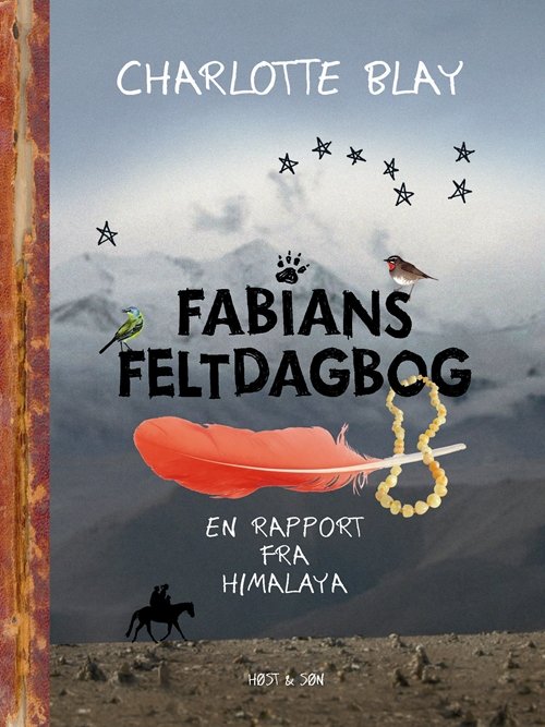 Cover for Charlotte Blay · Fabians Feltdagbog (Sewn Spine Book) [1. Painos] (2010)