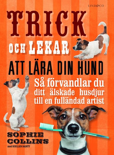 Trick och lekar att lära din hund : så förvandlar du ditt älskade husdjur.. - Suellen Dainty - Książki - Lind & Co - 9789177791065 - 13 lutego 2018