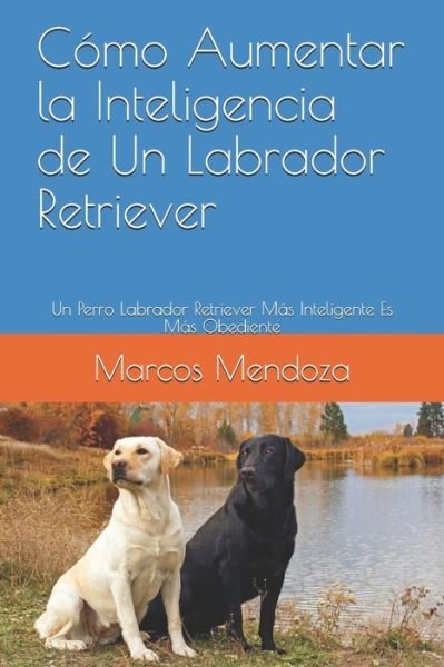 Cover for Marcos Mendoza · Como Aumentar la Inteligencia de Un Labrador Retriever: Un Perro Labrador Retriever Mas Inteligente Es Mas Obediente (Paperback Bog) (2021)