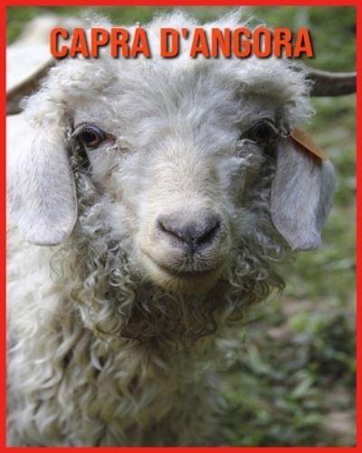 Capra d'Angora: Foto stupende e fatti divertenti Libro sui Capra d'Angora per bambini - Alicia Moore - Books - Independently Published - 9798711001065 - February 18, 2021