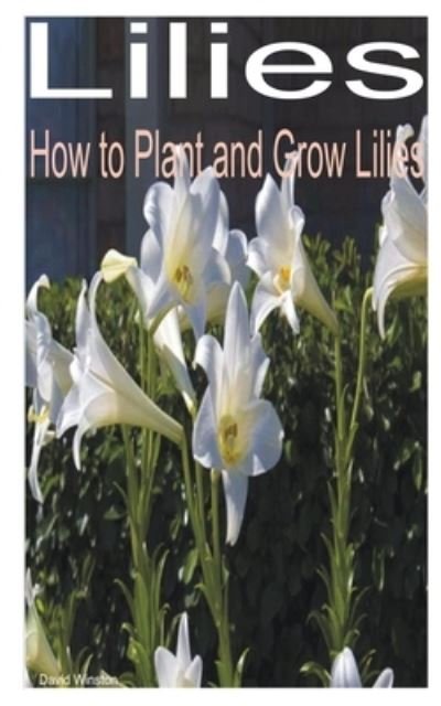 Cover for David Winston · Lilies: How to Plant and Grow Lilies (Paperback Book) (2022)