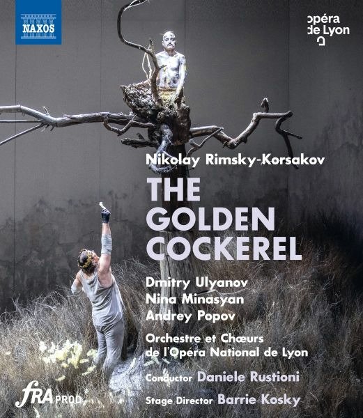 Cover for N. Rimsky-Korsakov · Golden Cockerel (Blu-ray) (2022)