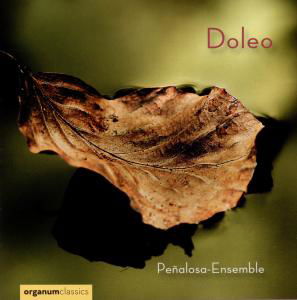 Doleo.Chansons & Motetten - V/A - Muzyka - ORGANUM - 4021568101066 - 13 października 2010