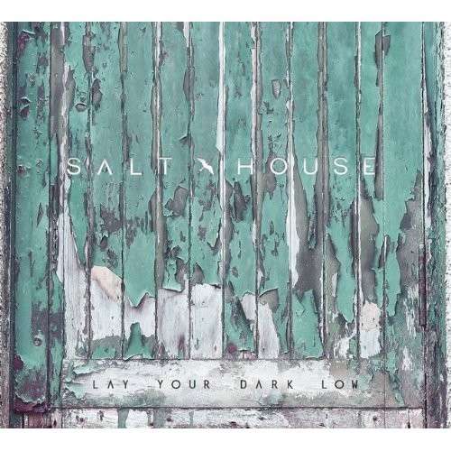 Cover for Salt House · Lay Your Dark Low (CD) (2013)