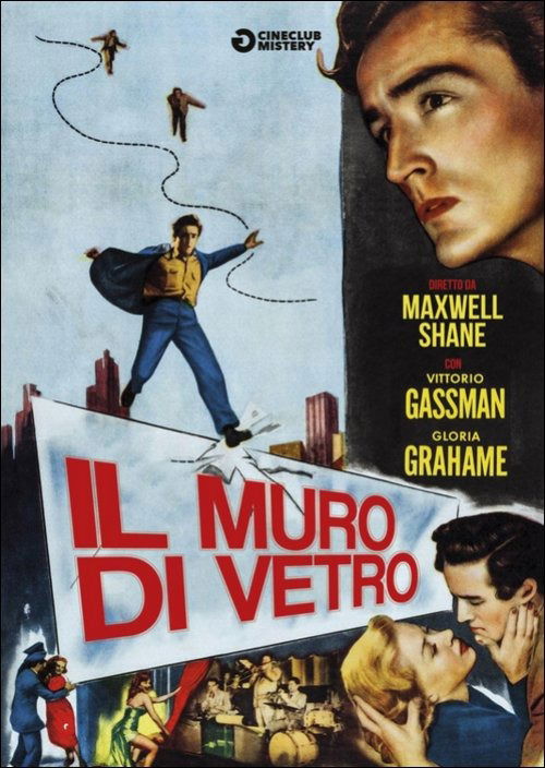 Cover for Muro Di Vetro (Il) (DVD) (2015)