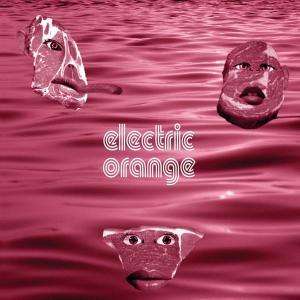 Cover for Electric Orange · Fleischwerk (CD) (2008)