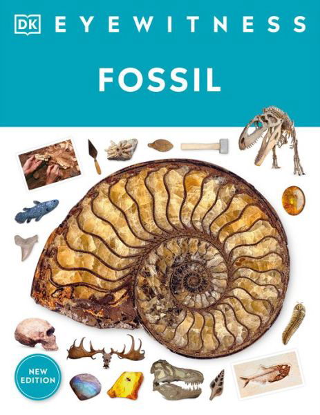 Cover for Dk · Eyewitness Fossil (Book) (2023)