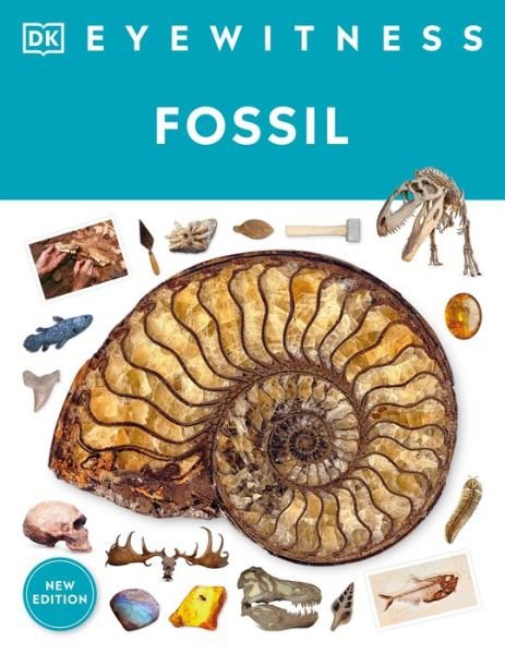 Cover for Dk · Eyewitness Fossil (Bok) (2023)