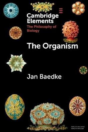 Cover for Baedke, Jan (Ruhr University Bochum) · The Organism - Elements in the Philosophy of Biology (Paperback Book) (2025)