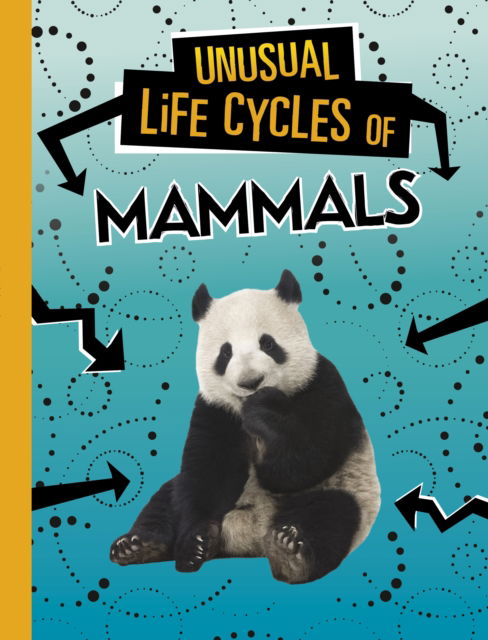 Cover for Jaclyn Jaycox · Unusual Life Cycles of Mammals - Unusual Life Cycles (Paperback Book) (2023)