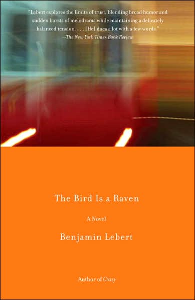 Cover for Benjamin Lebert · The Bird is a Raven (Paperback Book) (2007)