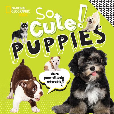 Cover for National Geographic Kids · So Cute! Puppies - National Geographic Kids (Gebundenes Buch) (2022)