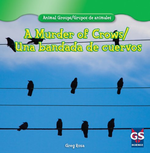 Cover for Greg Roza · A Murder of Crows / Una Bandada De Cuervos (Animal Groups / Grupos De Animales) (Hardcover Book) [Bilingual edition] (2013)