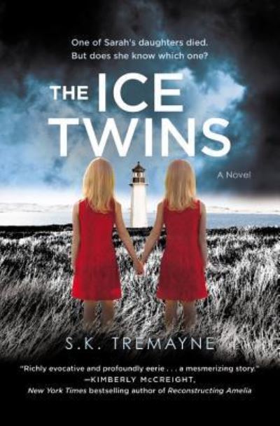 Cover for S. K. Tremayne · The ice twins (Book) (2016)