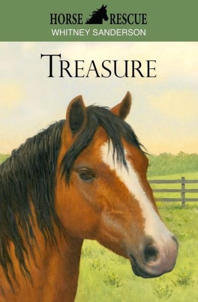 Cover for Whitney Sanderson · Horse Rescue: Treasure (Paperback Book) (2014)