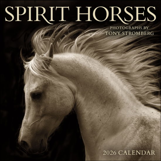 Cover for Tony Stromberg · Spirit Horses 2026 Wall Calendar by Tony Stromberg (Calendar) (2025)