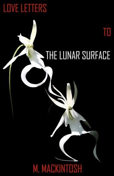 Cover for M Mackintosh · Love Letters to the Lunar Surface (Paperback Book) (2016)