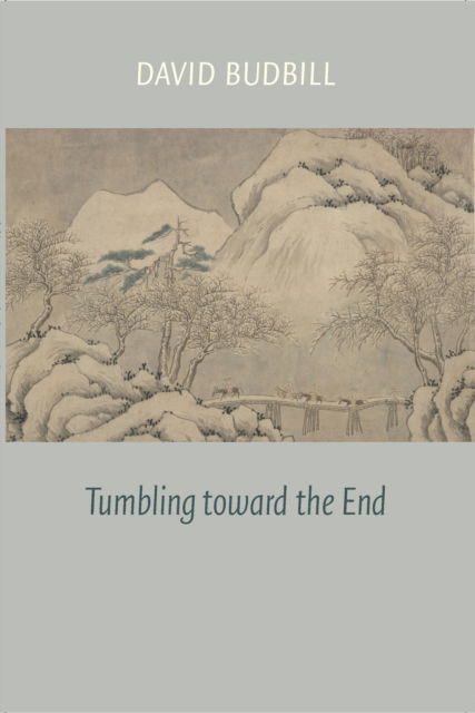 Cover for David Budbill · Tumbling Toward the End (Paperback Book) (2017)