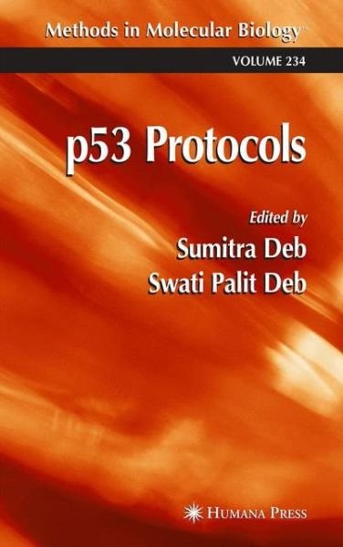 Cover for Sumitra Deb · P53 Protocols - Methods in Molecular Biology (Hardcover Book) [2003 edition] (2003)