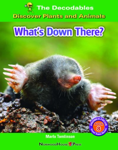 Cover for Marla Tomlinson · What's down There? (Buch) (2023)