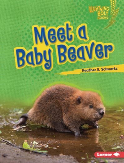 Meet a Baby Beaver - Heather E. Schwartz - Livres - Lerner Publishing Group - 9781728491066 - 1 août 2023