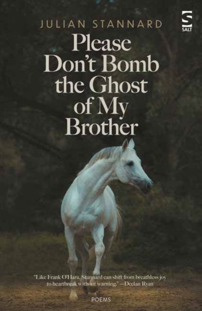 Cover for Julian Stannard · Please Don’t Bomb the Ghost of My Brother - Salt Modern Poets (Paperback Book) (2023)