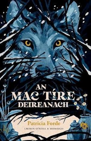 Cover for Patricia Forde · An Mac Tire Deireanach (Paperback Book) (2023)