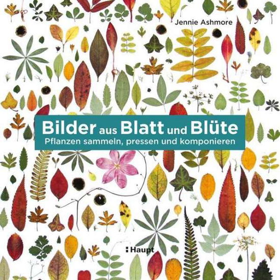 Cover for Ashmore · Bilder aus Blatt und Blüte (Book)