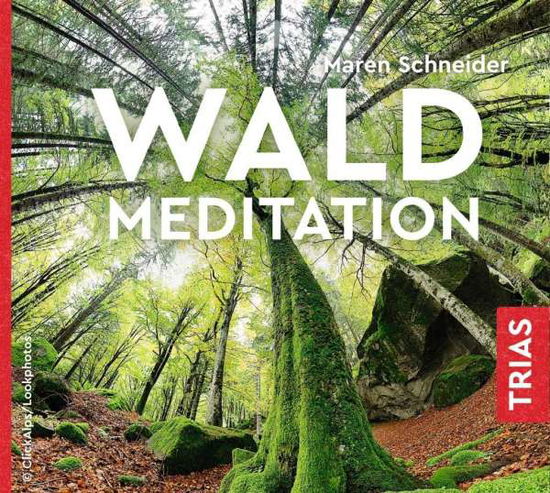 Cover for Schneider · Waldmeditation (Book)