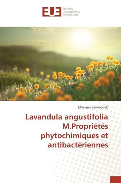 Cover for Benyagoub Elhassan · Lavandula Angustifolia M.proprietes Phytochimiques et Antibacteriennes (Pocketbok) (2015)
