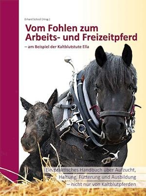 Cover for Erhard Schroll · Vom Fohlen zum Arbeits- und Freizeitpferd (Paperback Book) (2020)