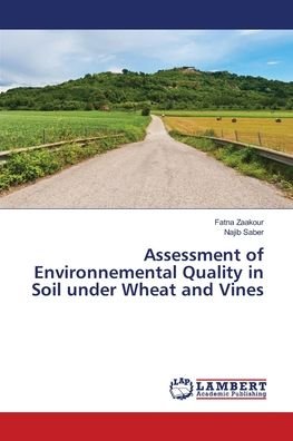Cover for Zaakour · Assessment of Environnemental Q (Buch) (2018)