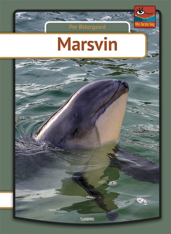 Min første bog: Marsvin - Per Østergaard - Boeken - Turbine - 9788740654066 - 6 maart 2019