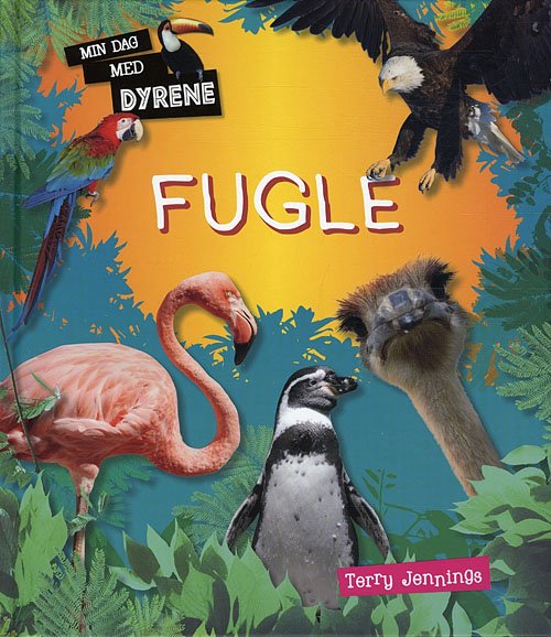 Cover for Terry Jennings · Min dag med dyrene: Fugle (Innbunden bok) [1. utgave] [Indbundet] (2011)