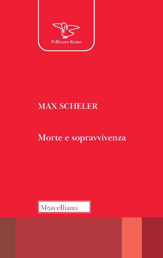 Cover for Max Scheler · Morte E Sopravvivenza. Nuova Ediz. (Book)