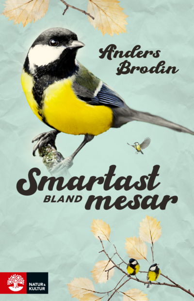 Cover for Anders Brodin · Smartast bland mesar (Paperback Book) (2022)