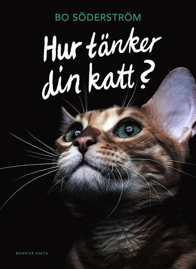 Cover for Bo Söderström · Hur tänker din katt? (Hardcover Book) (2019)