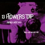 Cover for Dip · 13 Towers/13 Flowers (CD) [Japan Import edition] (2011)