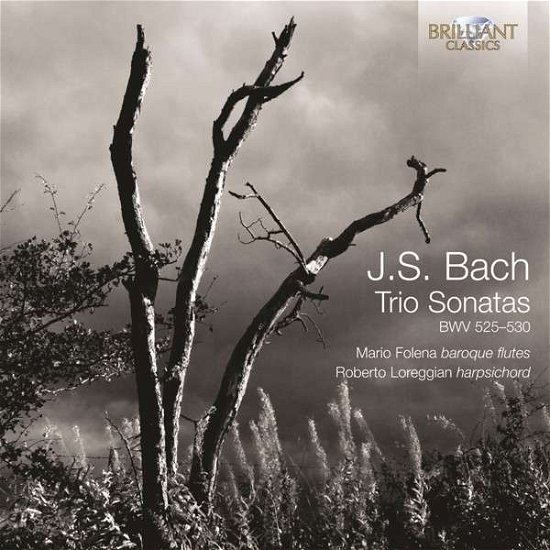 Cover for Bach · Trio Sonatas Bwv 525-530 (CD) (2014)