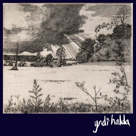 Cover for Yndi Halda · Enjoy Eternal Bliss (LP) (2023)