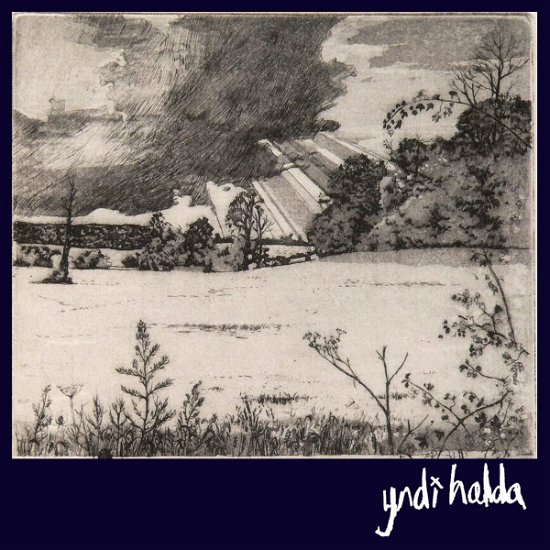 Cover for Yndi Halda · Enjoy Eternal Bliss (LP) (2022)
