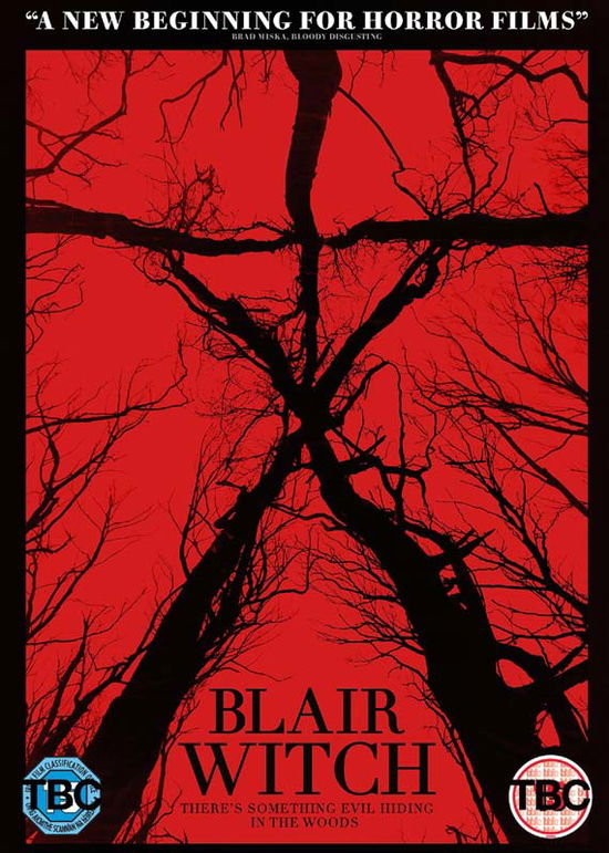 Cover for Blair Witch (DVD) (2017)